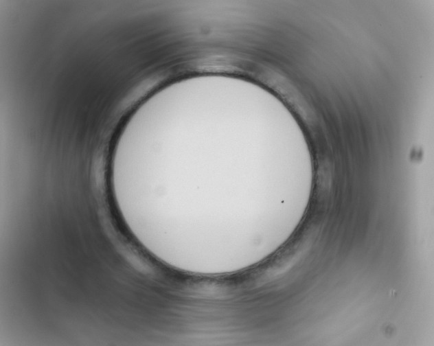 X0000103150533200809192031