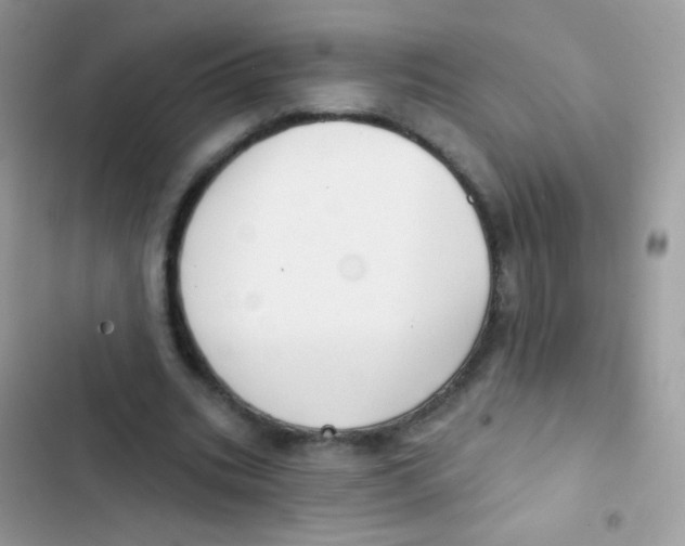 X0000103150535200809192031