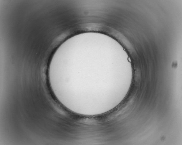 X0000103150537200809192031