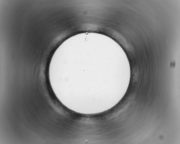 X0000103150538200809192032