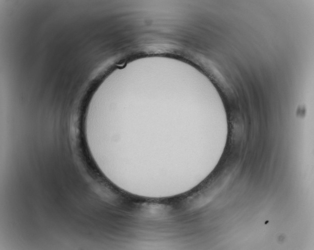 X0000103150539200809192032