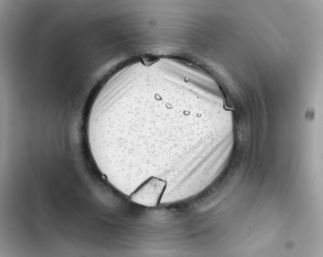 X0000103150540200809192032