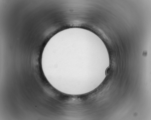 X0000103150543200809192032