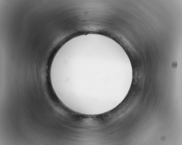 X0000103150544200809192032