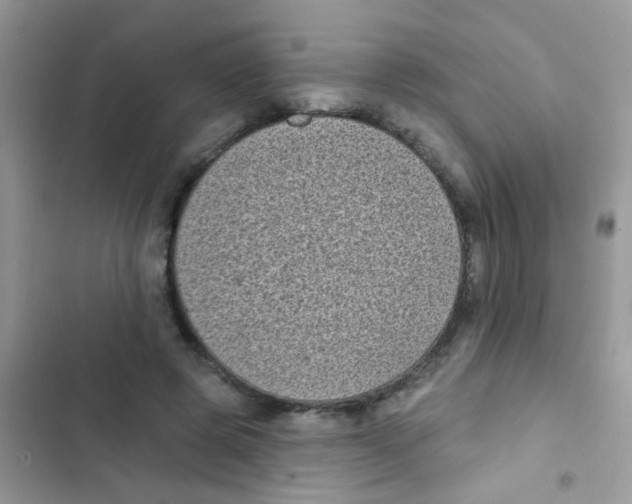 X0000103150545200809192032