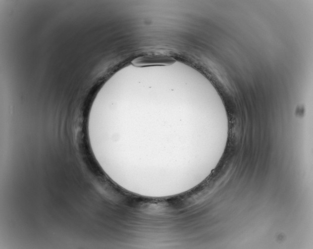 X0000103150548200809192032