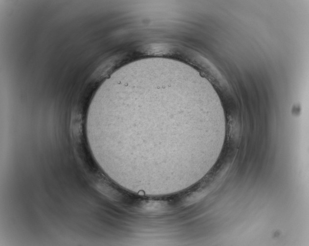 X0000103150549200809192032