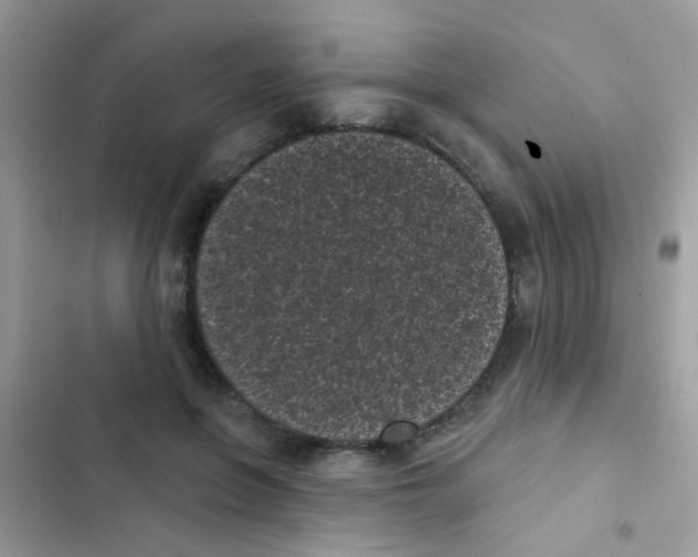 X0000103150551200809192032