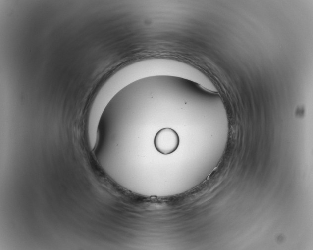 X0000103150552200809192032