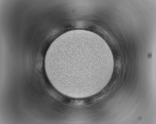 X0000103150554200809192032