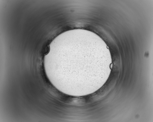 X0000103150555200809192032