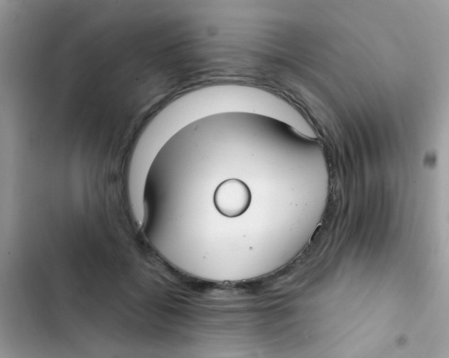 X0000103150556200809192032