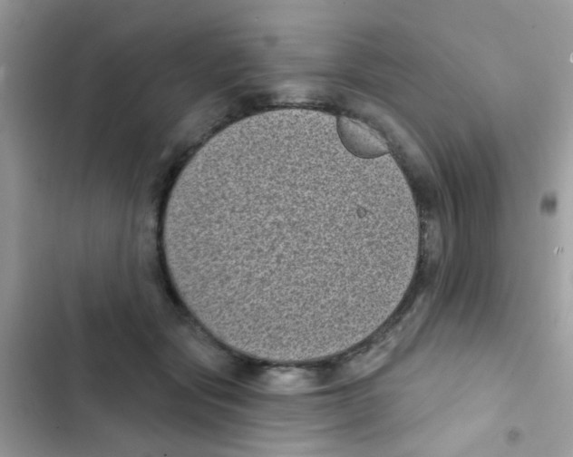 X0000103150557200809192032