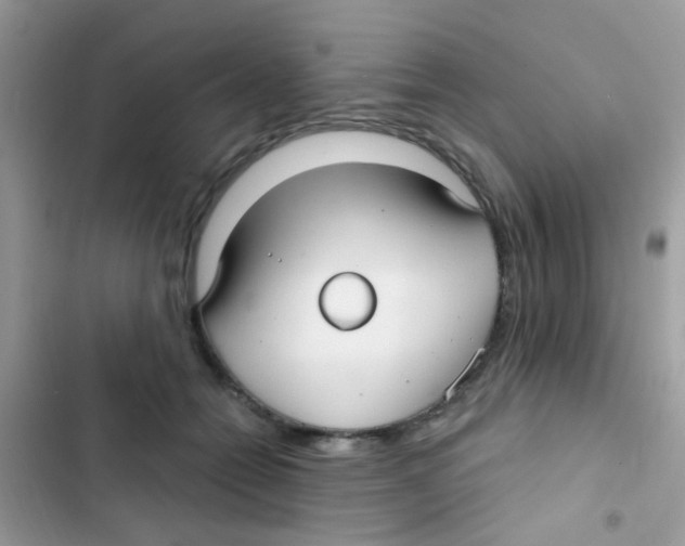 X0000103150558200809192032