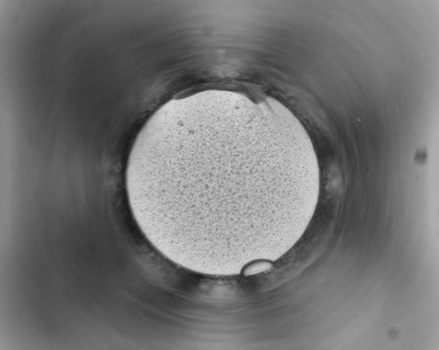 X0000103150559200809192032