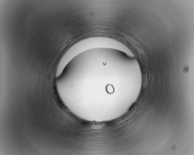 X0000103150560200809192032