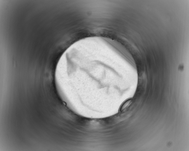 X0000103150566200809192032