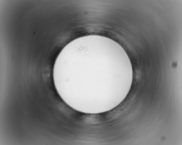 X0000103150567200809192032