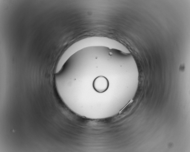 X0000103150568200809192032