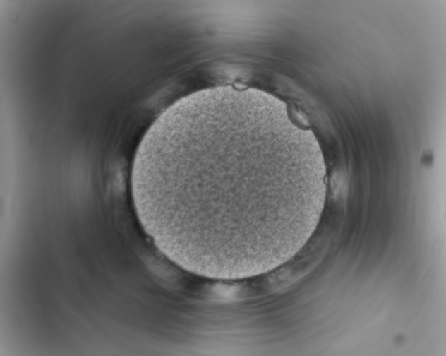 X0000103150570200809192032