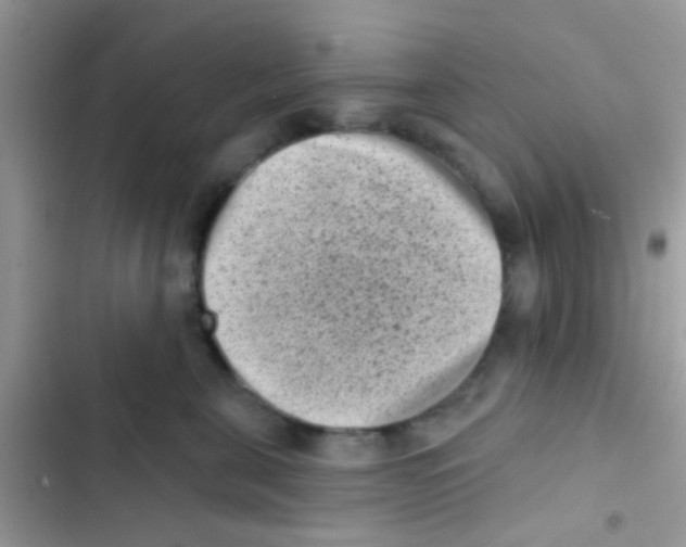 X0000103150571200809192032