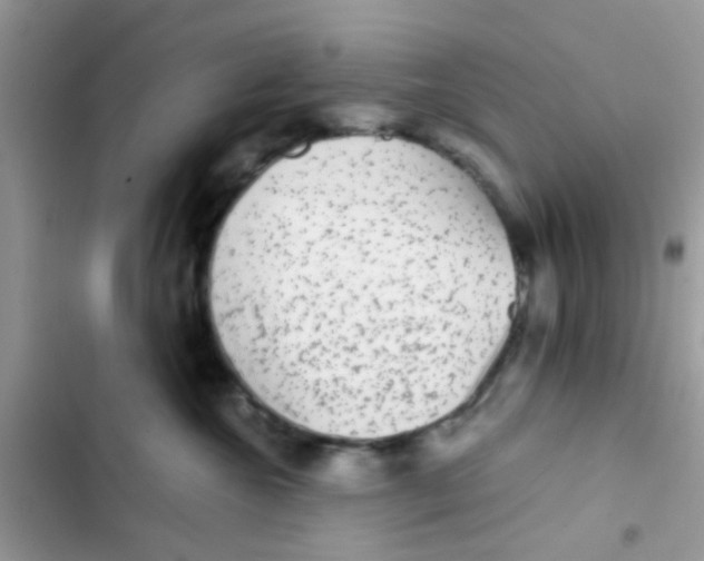 X0000103150572200809192032