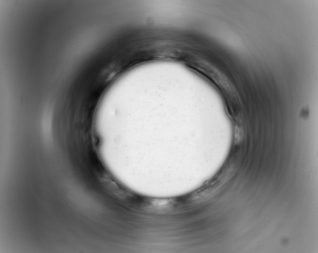 X0000103150573200809192032