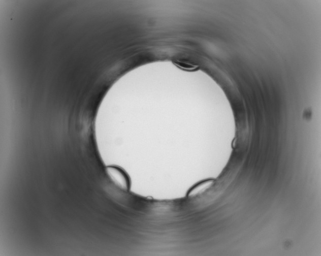 X0000103150574200809192032