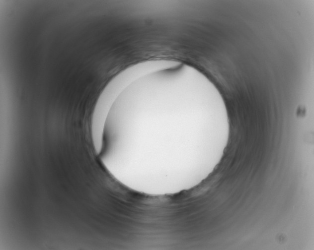 X0000103150576200809192032