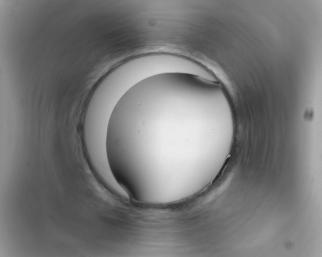 X0000103150577200809192031