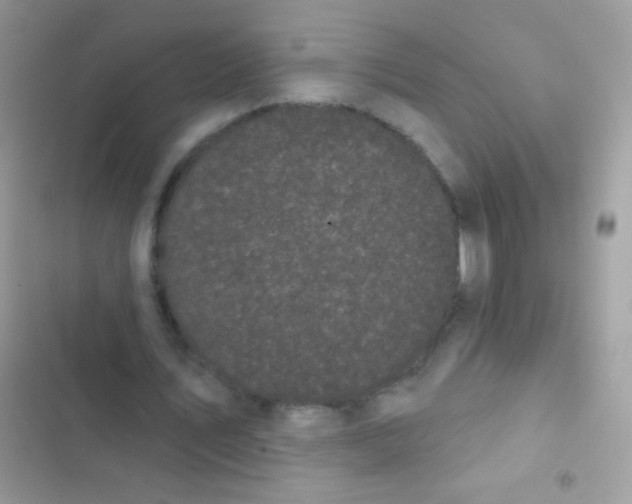 X0000103150579200809192031