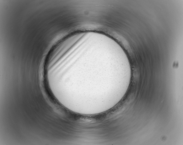 X0000103150582200809192031