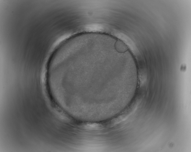 X0000103150583200809192031