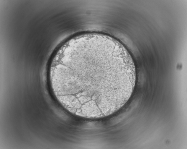 X0000103150584200809192031