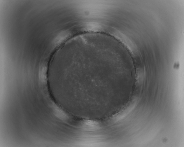 X0000103150585200809192031