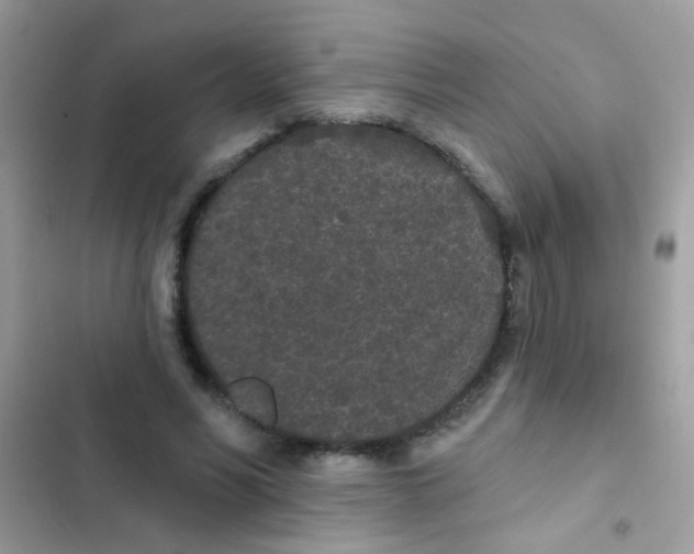 X0000103150590200809192031