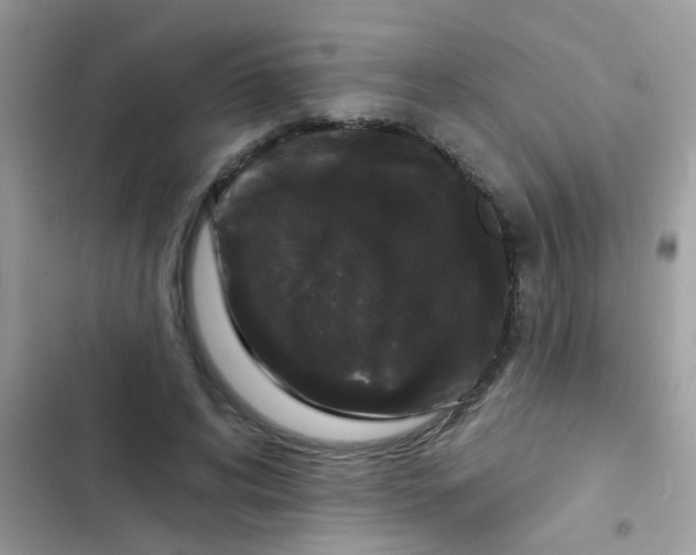 X0000103150592200809192031