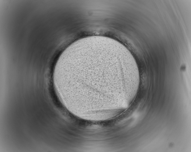 X0000103150594200809192031