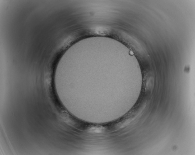 X0000103150595200809192031