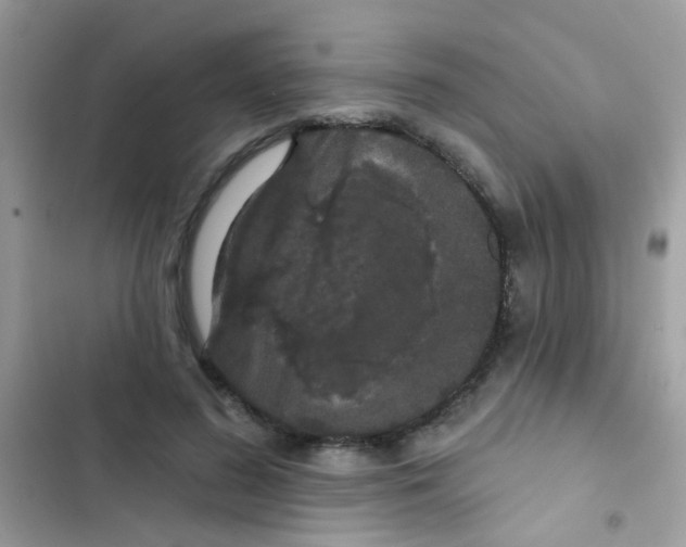 X0000103150596200809192031