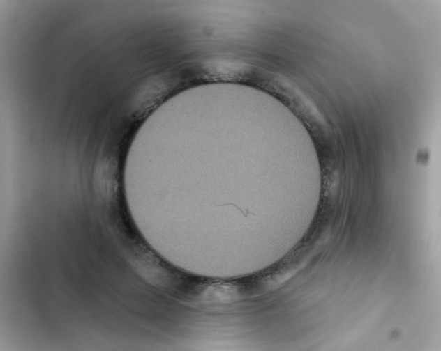 X0000103150599200809192031