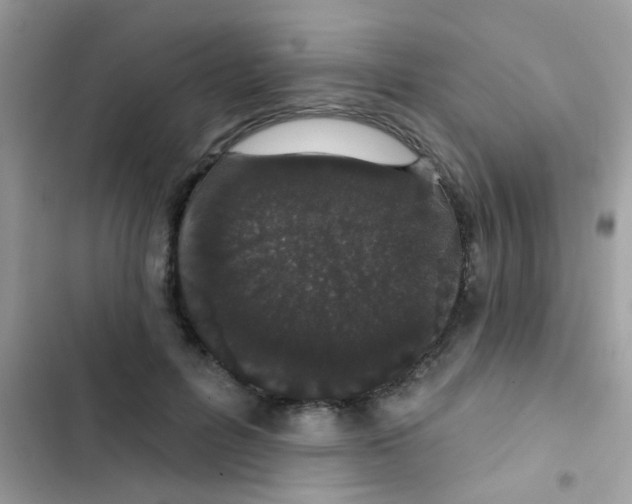 X0000103150600200809192031