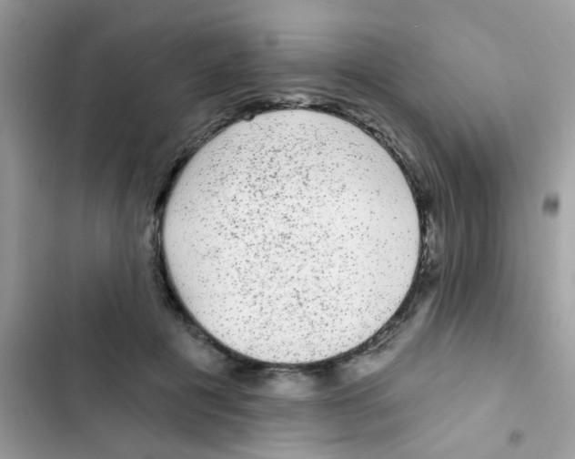 X0000103150601200809192031