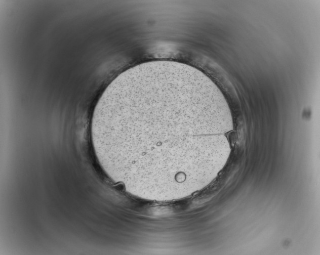 X0000103150604200809192031