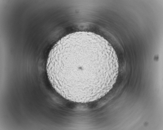 X0000103150606200809192031