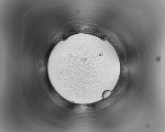 X0000103150607200809192031