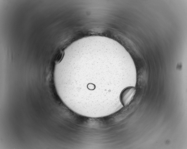 X0000103150608200809192031