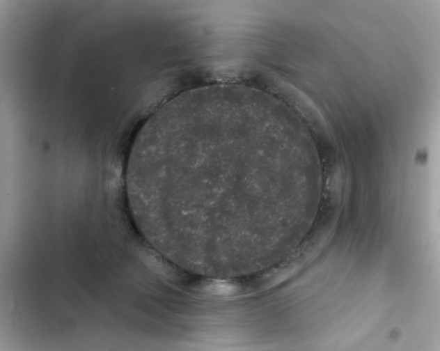 X0000103150610200809192031