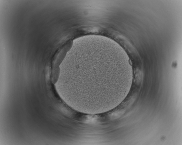 X0000103150612200809192031