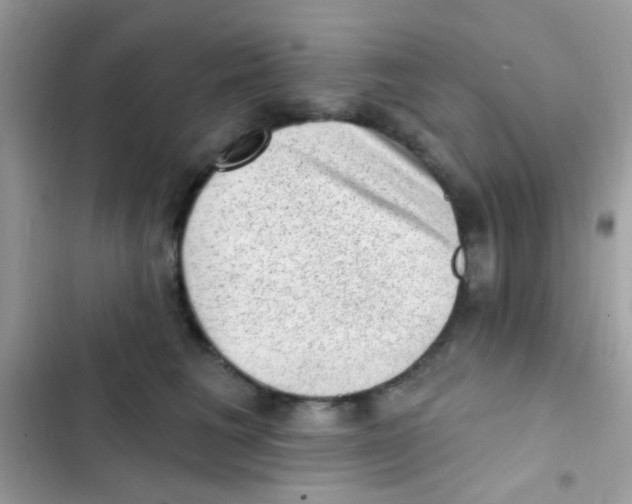 X0000103150613200809192031